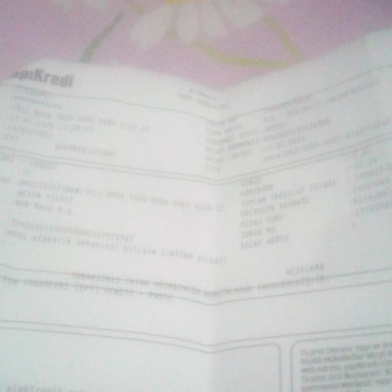 Banka Hesaplarının Denetimi Konusunda Endişelerim Var