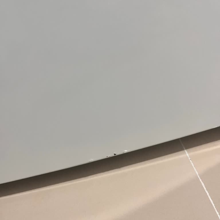 Garantisi Devam Eden Buzdolabında Çürüme Sorunu