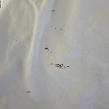 Çamaşır Makinesi Kıyafetlerde Kahverengi Leke Sorunu Ve Yetersiz Destek