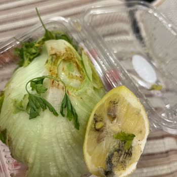 Komagene Bozuk Marul Ve Küflü Limon Gönderdi Misafirim Varken Mağdur Oldum