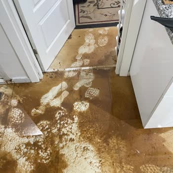 Çevre Ve Şehircilik Bakanlığı Bodrum Kat Dairede Sürekli Gider Tıkanıklığı