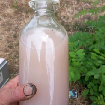 Shell'den Alınan Yakıt Sonrası Araçta Büyük Arıza Ve Maddi Kayıp