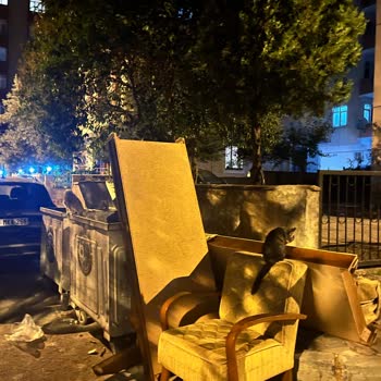 Sokakta Biriken Büyük Eşyalar Mahallede Çevre Ve Sağlık Sorunu Yaratıyor