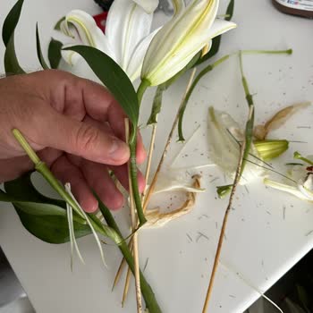 Solmuş Ve Yapıştırılmış Çiçekler, Yetersiz Müşteri Hizmeti Ve İade Sorunu