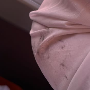 Otobüs Yolculuğunda Kirli Koltuk, İlgisiz Şoför Ve Bilet Sorunu Nedeniyle Mağduriyet