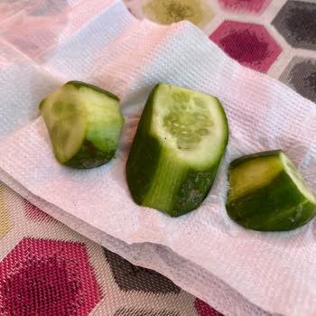 Hijyen Eksikliği Ve İlgisiz Personel Nedeniyle Hayal Kırıklığı Yaşadım