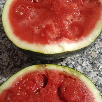 Bozuk Karpuz, İade Sorunu Ve Mağduriyet