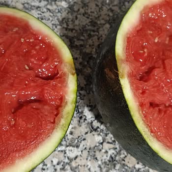 Bozuk Karpuz, İade Sorunu Ve Mağduriyet