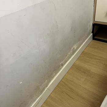 Oda Temizliği Ve Bilgi Tutarsızlığı Hayal Kırıklığı Yarattı