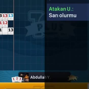 101 Okey Plus Hile, İş Birliği, Sorumsuzluk