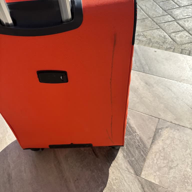 Varan Turizm Yolculuğunda Geç Kalkış Ve Valizimin Çamur İçinde Kalması