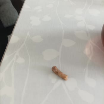 Aldığım Cipsin İçinden Çıkan Odun Parçası Nedeniyle Mağdur Oldum