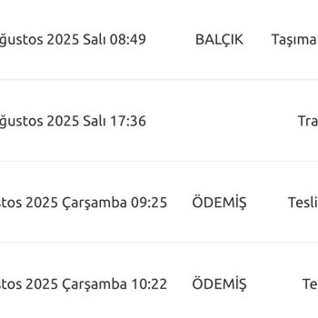 Teslim Edilmeyen Ürün İçin İade Faturası Ve Kargo Ücreti Mağduriyeti