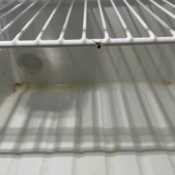 Hijyen Eksikliği Ve İlgisiz Yönetim Nedeniyle Büyük Hayal Kırıklığı Yaşadık