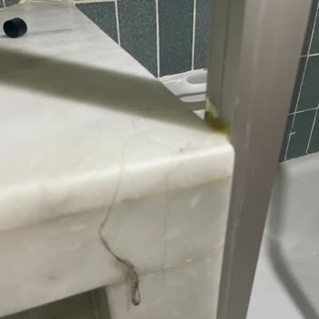 Hijyen Eksikliği Ve İlgisiz Yönetim Nedeniyle Büyük Hayal Kırıklığı Yaşadık