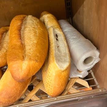 Şok Market Ekmeklerinde Böcek Sorunu Sağlığımızı Tehdit Ediyor