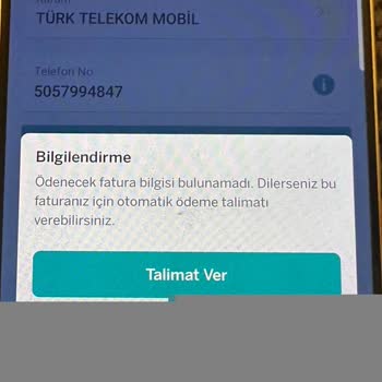 Taşıma Sonrası Görünmeyen Fatura Nedeniyle Ödeme Yapamama Ve Müşteri Hizmetlerinde Kötü Muamele
