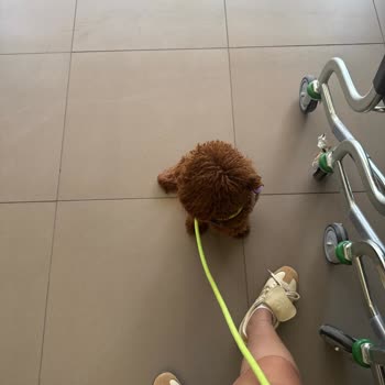 File Market Evcil Hayvanların Marketlere Alınmaması Nedeniyle Alışveriş Yapamama