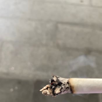 Davidoff White Sigara İçindeki Kalitesiz Malzeme Sorunu