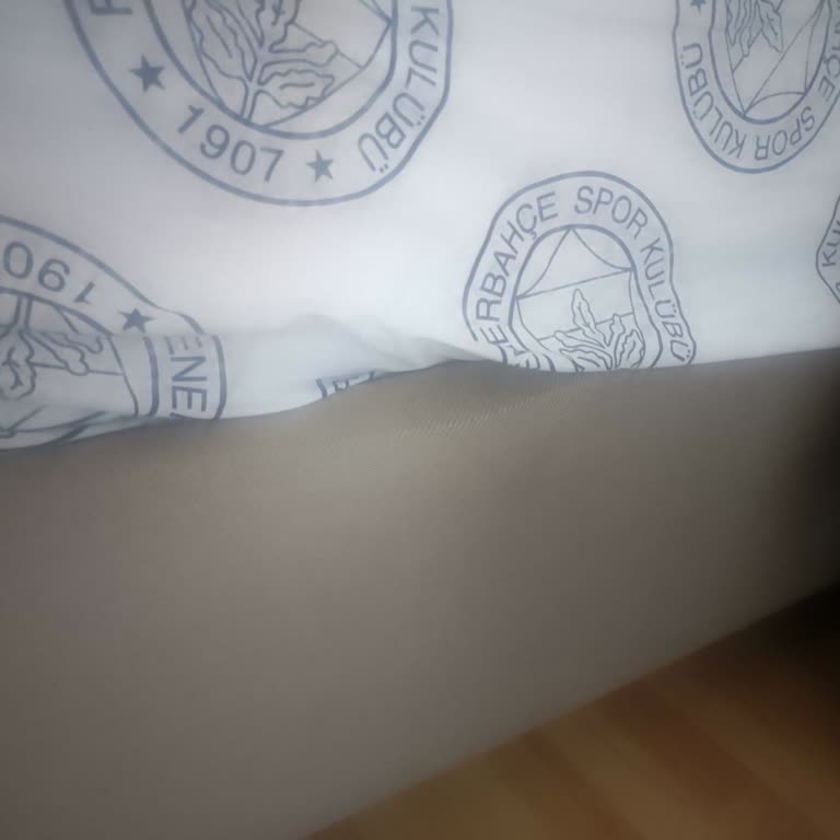 Bellona'dan Aldığım Bazada Sorun Ve Müşteri Hizmetlerine Ulaşamama