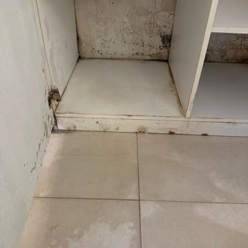 Phoenix Sun Hotel Bodrum'da Temizlik, Hijyen Ve İlgisizlik Sorunları Nedeniyle Ücret İadesi Talebi