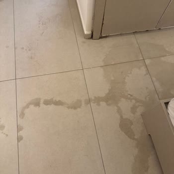 Phoenix Sun Hotel Bodrum'da Temizlik, Hijyen Ve İlgisizlik Sorunları Nedeniyle Ücret İadesi Talebi