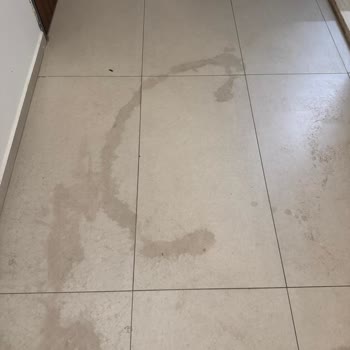 Phoenix Sun Hotel Bodrum'da Temizlik, Hijyen Ve İlgisizlik Sorunları Nedeniyle Ücret İadesi Talebi