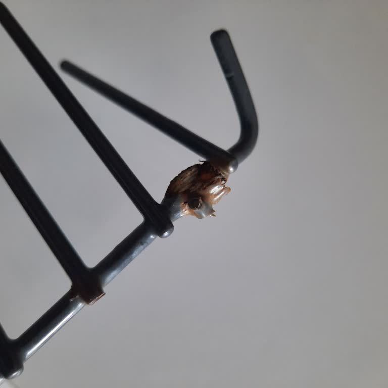 Arçelik Bulaşık Makinesi Sepetlerinde Erken Paslanma Ve Yüksek Yedek Parça Ücreti