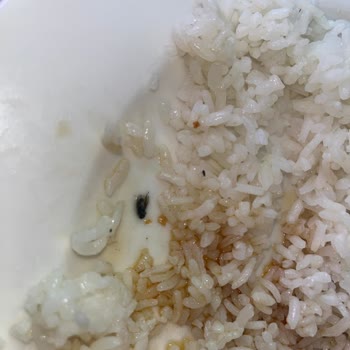 I Face Hygiene Issues and Refund Refusal at Mir-Amor Hotel Kemer Antalya