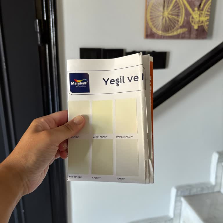 Marshall Boya: Seçtiğimiz Renkle Hiçbir Alakası Yok!