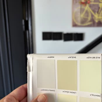 Marshall Boya: Seçtiğimiz Renkle Hiçbir Alakası Yok!