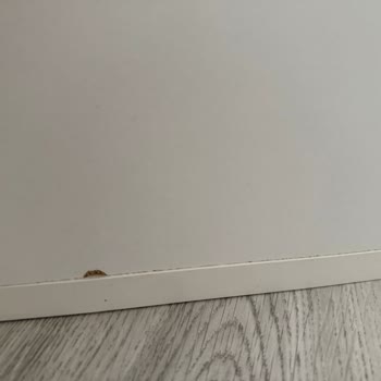 Kusurlu Ürün Ve Eksik İade: Mağduriyetim Giderilmiyor