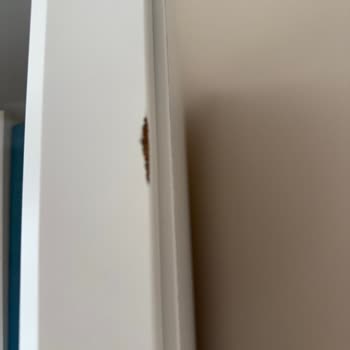 Taşınma Sonrası Eşyalarımda Ciddi Hasar Ve Firma İlgisizliği