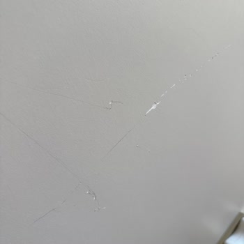 Taşınma Sonrası Eşyalarımda Ciddi Hasar Ve Firma İlgisizliği