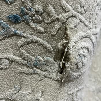 Başmısırlı Halı Yıkama (Kayseri) Halımıza Zarar Verdiler