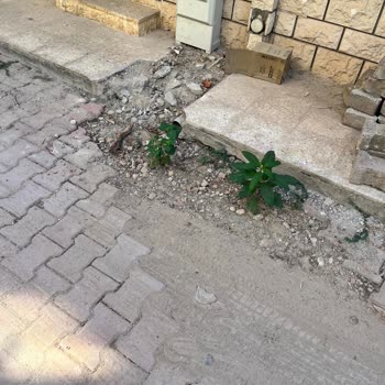 Enerya'nın Kazı Sonrası Yol Onarımı Yapılmadı, Güvenlik Riski Oluştu