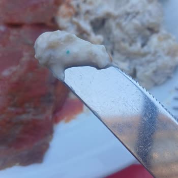 Yemekte Yabancı Madde Ve Personelin Alaycı Tavrı Nedeniyle Hayal Kırıklığı