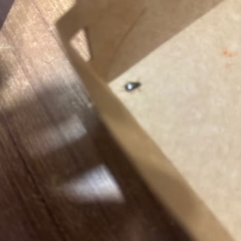 Köfteci Yusuf Hamburgerde Böcek Çıkmasıyla Büyük Hijyen Sorunu Yaşadım