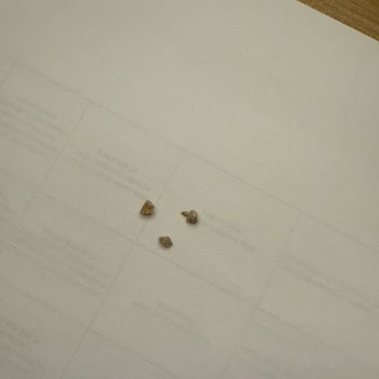 Yemekte Taş Çıktı, Müşteri Hizmetleri Yardımcı Olmadı