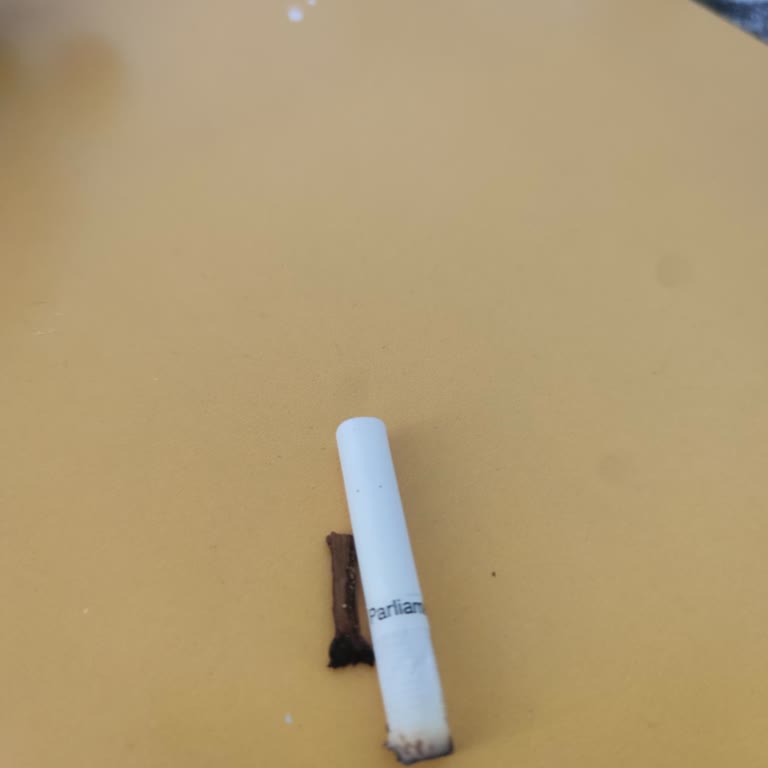 Marlboro Parliament Sigaralarda Tütün Kalitesi Ve Paket İçeriği Hayal Kırıklığı Yaratıyor