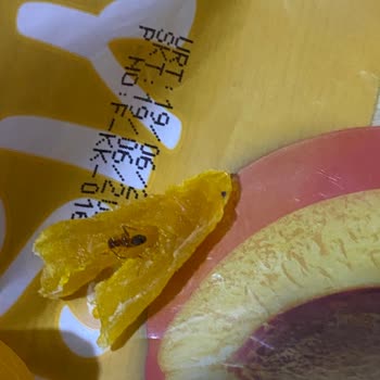 Aldığım Kuru Kayısıdan Ölü Karınca Çıktı, Mağazadan Dönüş Alamadım