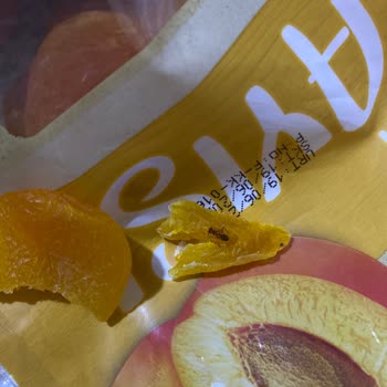 Aldığım Kuru Kayısıdan Ölü Karınca Çıktı, Mağazadan Dönüş Alamadım