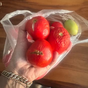 Geç Teslimat Ve Çürük Domatesler İçin Ücret İadesi Talebim Yanıtsız Kaldı