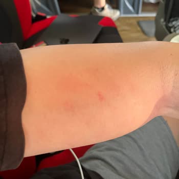 Yolculukta Şoförün Saldırgan Davranışı Ve Kamil Koç'un İlgisizliği