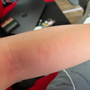 Yolculukta Şoförün Saldırgan Davranışı Ve Kamil Koç'un İlgisizliği