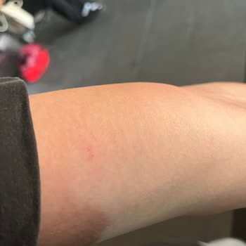 Yolculukta Şoförün Saldırgan Davranışı Ve Kamil Koç'un İlgisizliği