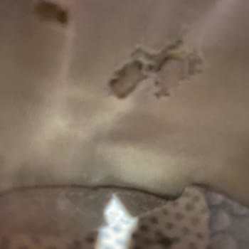 Skechers Stamina Classy Trail Schuhe trotz kurzer Nutzung stark beschädigt