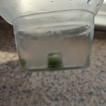 Brita Sürahi Filtresinde Temizlenemeyen Yosunlanma Sorunu