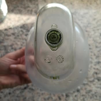 Brita Sürahi Filtresinde Temizlenemeyen Yosunlanma Sorunu