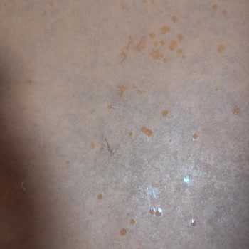 Semerkand Kültür Merkezi Havuzunda Temizlik, Hijyen Ve Üyelik İptali Sorunları